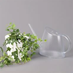 Hedera Helix In Keramiktopf Dallas Weiß, Topf-Ø 12/13 Cm, 2er-Set -Gartengeschäft 0220650241 Hedera gruen in Topf Dallas weiss 3