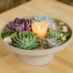 Schnittecheverien-Mix, Ø 12 Cm, 4er-Set 13 Schnittecheverien-Mix, Ø 12 Cm, 4er-Set -Gartengeschäft 0250103364 Echeveria Mix 7 10cm in DIY Box 4 117171