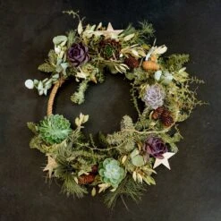 Schnittecheverien-Mix, Ø 5 Cm, 12er-Set -Gartengeschäft 0250103364 Echeveria Mix 7 10cm in DIY Box 5 117175 1