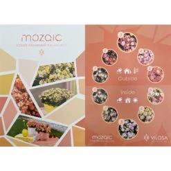 Kalanchoe 'Mozaic', Wechselfarbig, Topf-Ø 12 Cm, Höhe Ca. 22 Cm, 6er-Set -Gartengeschäft 0610103650 Outdoor Kalanchoe Mozaic wechselfarbig 6er Set 12 113797