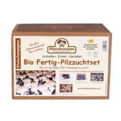 Bio Fertig-Pilzzuchtset Steinchampignon, Klein