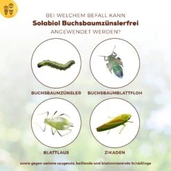 Solabiol Buchsbaumzünsler-Schutz, 50 Ml -Gartengeschäft 0950200746 Solabiol Buchsbaumzuensler Schaedlingsfrei 50ml 3 107237