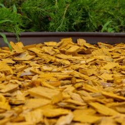 Plantop Dekormulch Goldgelb, 1950 L Gesamt, 39 Sack á 50 Liter -Gartengeschäft 0960 mulch gelb 125177