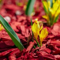 Plantop Dekormulch Ziegelrot, 1950 L Gesamt, 39 Sack á 50 Liter -Gartengeschäft 0960 mulch rot 125176