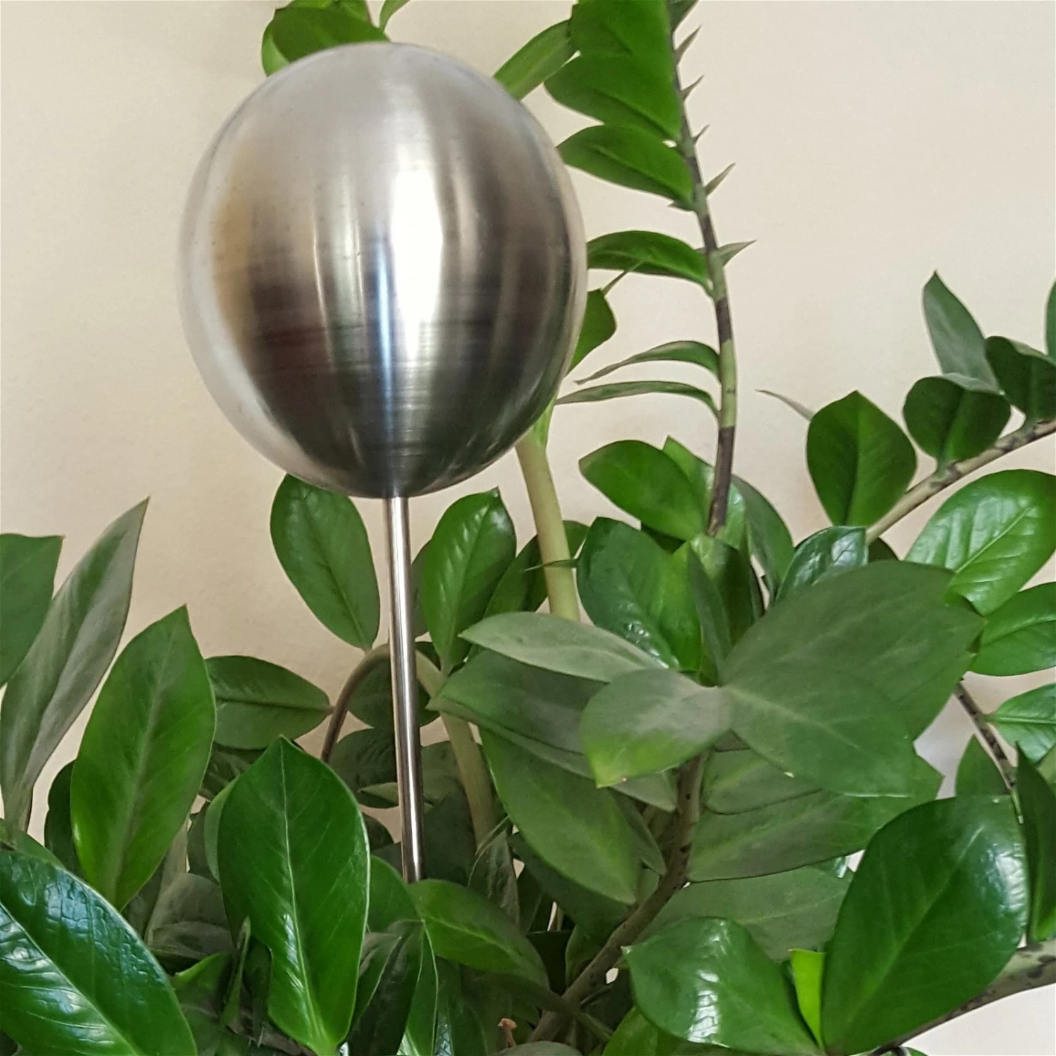 Beetstecker Rosenkugel, 10 Cm, Edelstahl / Matt Gebürstet, Rosenstab 80 Cm 1 Beetstecker Rosenkugel, 10 Cm, Edelstahl / Matt Gebürstet, Rosenstab 80 Cm