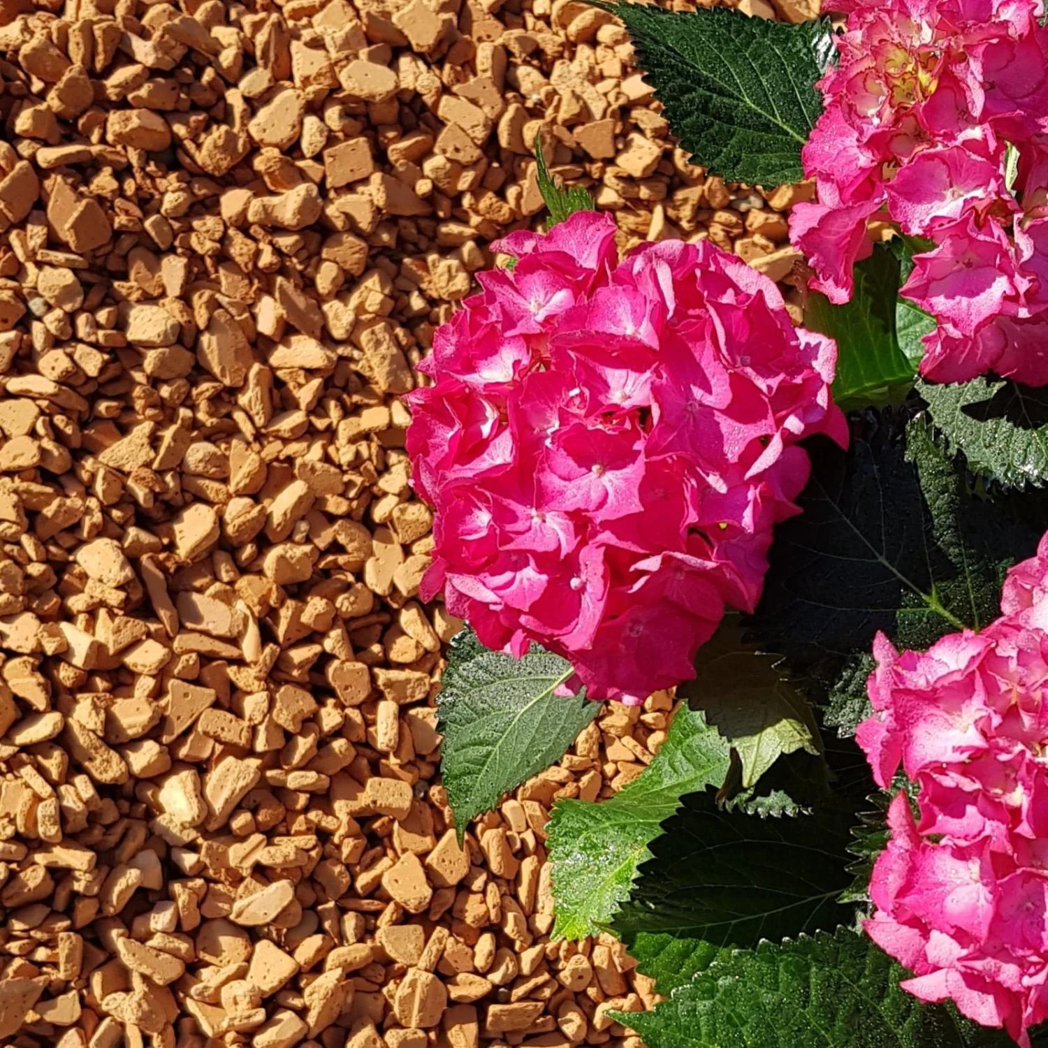 Ziegel-Granulat Granupur 4-20 Mm, 20 Liter 2 Ziegel-Granulat Granupur 4-20 Mm, 20 Liter – Bild 2