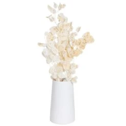 Silbertaler, Getrocknet, Lunaria, Ca. 80 Cm Lang -Gartengeschäft 1055300008 Lunaria weiss mit Tuete 1 83201