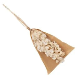 Silbertaler, Getrocknet, Lunaria, Ca. 80 Cm Lang -Gartengeschäft 1055300008 Lunaria weiss mit Tuete 83200