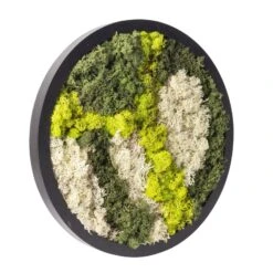 Rundes Moosbild Mit Schwarzem Rahmen, 38 Cm Ø -Gartengeschäft 1530150084 Moosbild rund 38 cm 1 115775