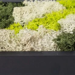 Rundes Moosbild Mit Schwarzem Rahmen, 38 Cm Ø -Gartengeschäft 1530150084 Moosbild rund 38 cm 2 115776