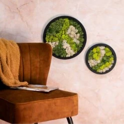 Rundes Moosbild Mit Schwarzem Rahmen, 38 Cm Ø