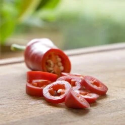 Blu Bio Chilipflanze Zwerg-Chili, Topf-Ø 12 Cm, 3er Set -Gartengeschäft 1620330132 Blu Bio Zwerg Chili mit Fruechte T12 3er Set extra scharf 2 124305