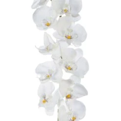 Kunstpflanze Phalaenopsis-Girlande, Weiß, Höhe Ca. 173 Cm