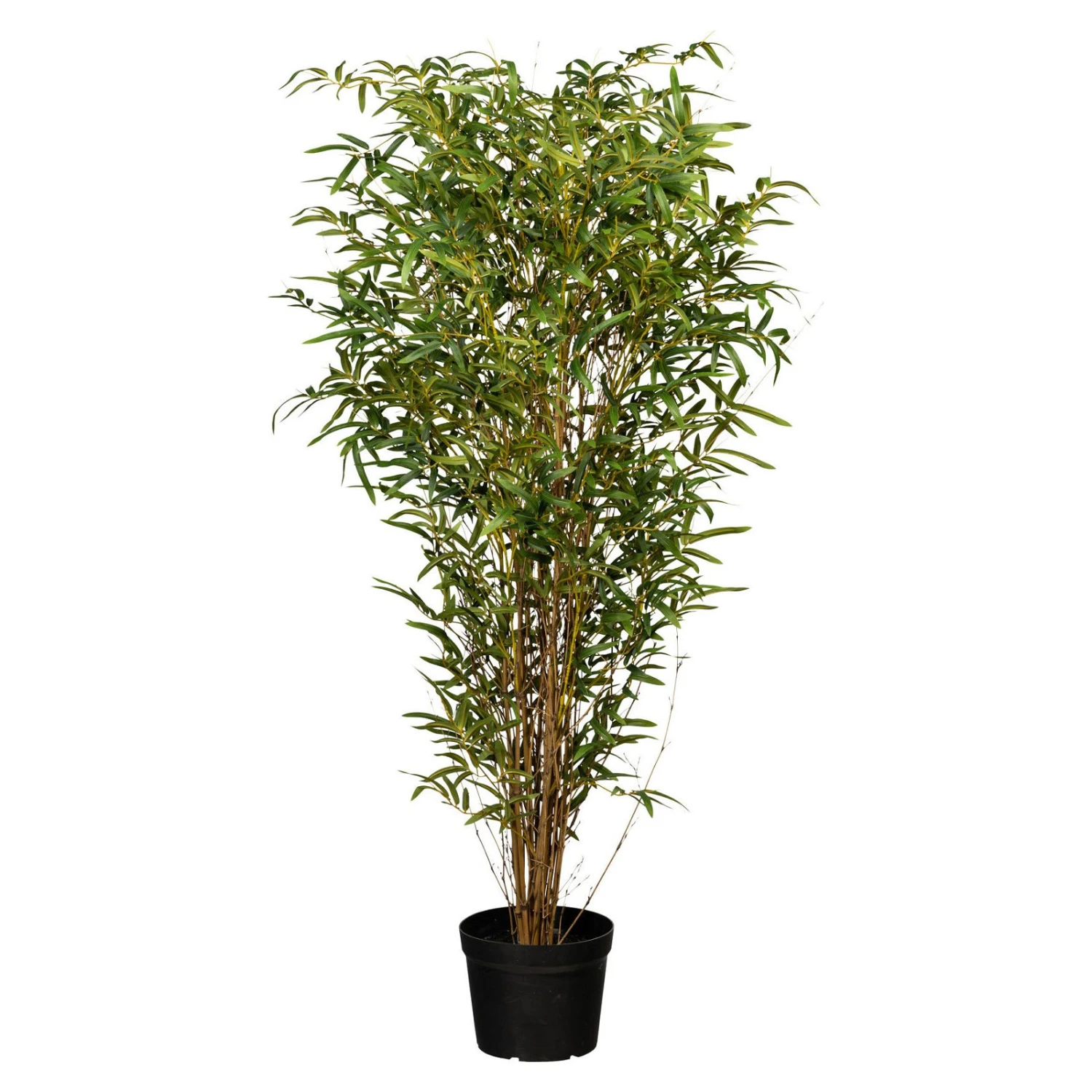 Künstlicher Bambus, Grün, Ca. 150 Cm, Kunststofftopf 23 X 18 Cm 1 Künstlicher Bambus, Grün, Ca. 150 Cm, Kunststofftopf 23 X 18 Cm