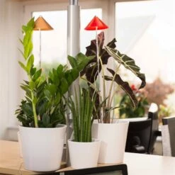 Sunlite Pflanzenlampe Kupfer, 7 Watt 9 Sunlite Pflanzenlampe Kupfer, 7 Watt -Gartengeschäft 2950200231 Sunlite Pflanzenlampe Kupfer 7W 1 60399