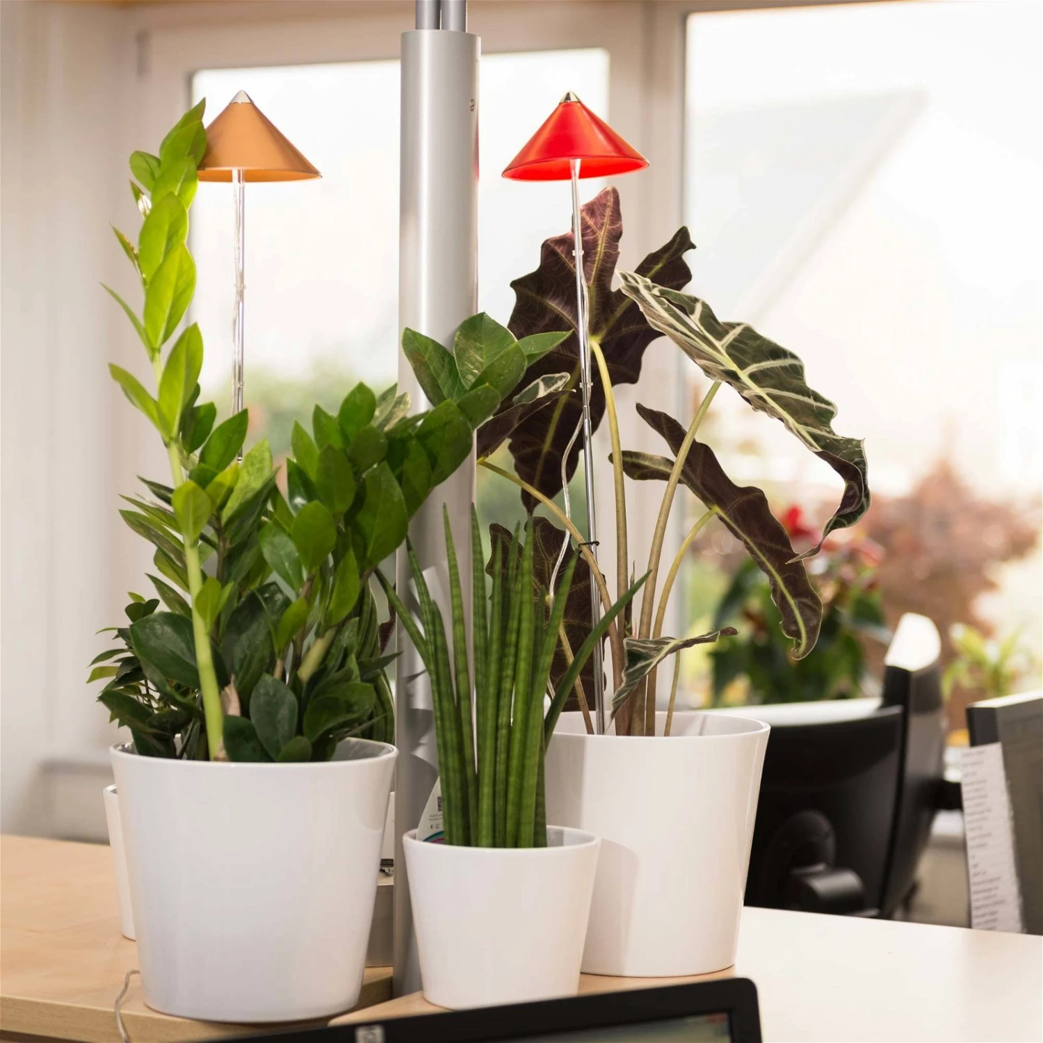 Sunlite Pflanzenlampe Kupfer, 7 Watt 5 Sunlite Pflanzenlampe Kupfer, 7 Watt – Bild 5