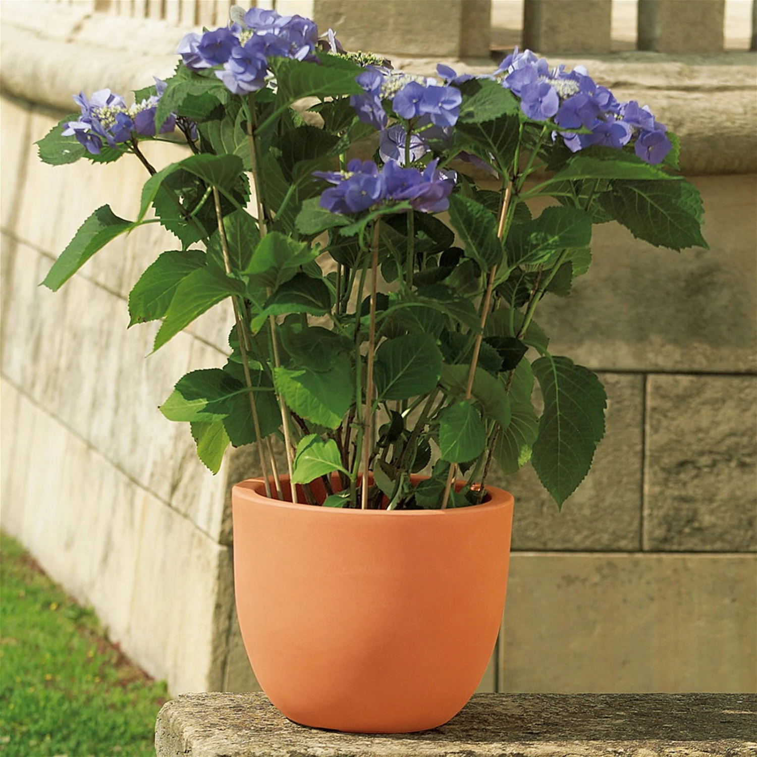 Euro 3 Plast Pflanzkübel Etria Terra 1 Euro 3 Plast Pflanzkübel Etria Terra