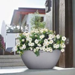 LECHUZA® Pflanzschale Cubeto Steingrau