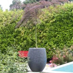 Pflanzgefäß Graphit Egg, Anthrazit, Wasserdicht, Robust -Gartengeschäft 3210103698 Pflanzgefaess Graphit Egg anthrazit D50xH60cm 53Ltr 6 62072