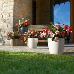 LECHUZA Pflanzgefäß 'Classico Color 70', Grau, Ø 70 X H 64,5 Cm -Gartengeschäft 3210103919 Pflanzgefaess Classico Color 60 All in 1 schiefergrau 3 109198 1