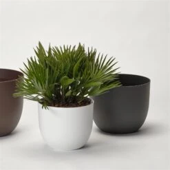 Pflanzkübel 'Rio', Anthrazit, Ø 39 X H 32,5 Cm -Gartengeschäft 3210104130 3210104131 3210104132 pflanzkuebel rio 122623