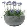 Pflanzschale Rock Line Banham, Granitgrau, Ø 35 X H 17 Cm