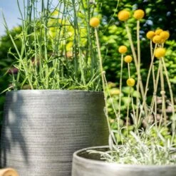 Pflanzgefäß 'Rowen', Silber, Ø 47 X H 82 Cm -Gartengeschäft 3210801635 3210801636 3210801637 3210801638 Pflanzgefaess Rowen silber 12 115029