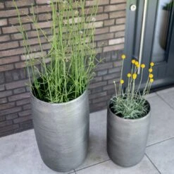 Pflanzgefäß 'Rowen', Silber, Ø 47 X H 82 Cm -Gartengeschäft 3210801635 3210801636 3210801637 3210801638 Pflanzgefaess Rowen silber 6 115025
