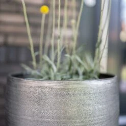 Pflanzgefäß 'Rowen', Silber, Ø 47 X H 82 Cm -Gartengeschäft 3210801635 3210801636 3210801637 3210801638 Pflanzgefaess Rowen silber 7 115026