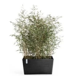 Pflanzkasten 'Paris', Dunkelgrau -Gartengeschäft 3230101241 pflanzkasten paris 2 117490