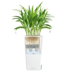 LECHUZA Cubico Premium 40, Weiß Hochglanz, All-in-One-Set, 40 X 40, H:75 Cm -Gartengeschäft 3325100114 CubicoPremium22 weiss All in One Set 22x22x41cm RGB 7573