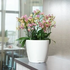 Lechuza Classico Premium 50 LS, Weiß Hochglanz, All-in-One-Set -Gartengeschäft 3325100222 Classico Premium 28LS wei All in One Set D28xH26cm RGB 7759