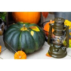 Feuerhand Sturmlaterne 'Baby Special 267', Olive, 26,5 X 13,5 X 15 Cm -Gartengeschäft 3990100192 feuerhand sturmlaterne 3 121597